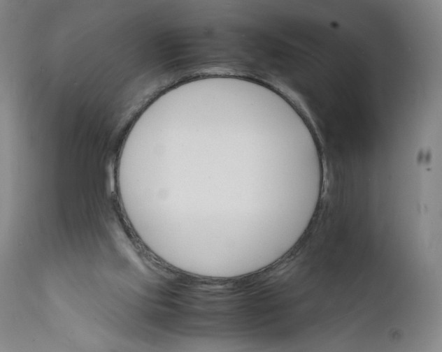 X0000112150061200908281349