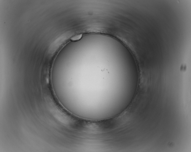 X0000112150062200908281349