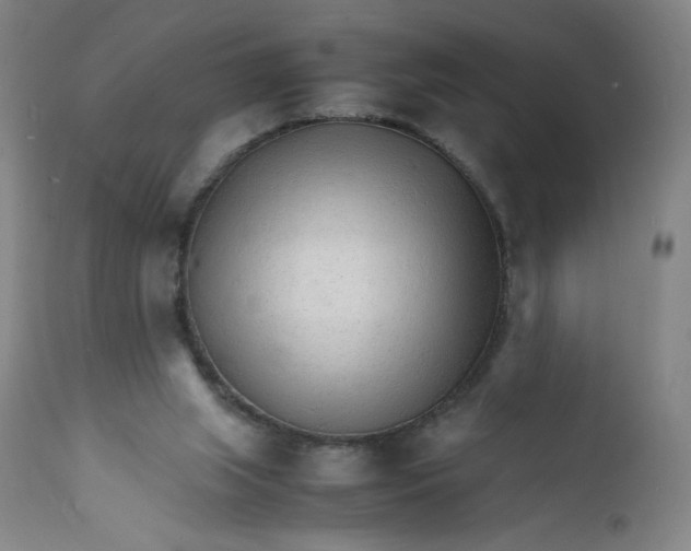 X0000112150063200908281349