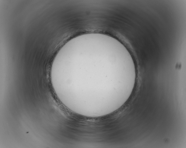 X0000112150065200908281349