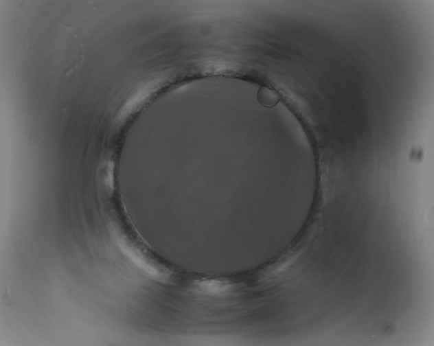 X0000112150067200908281349