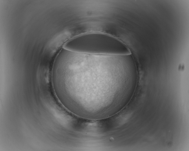 X0000112150068200908281349