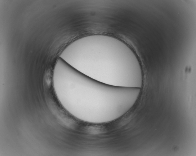 X0000112150069200908281349