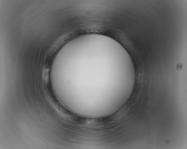 X0000112150070200908281349