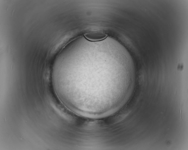 X0000112150072200908281349