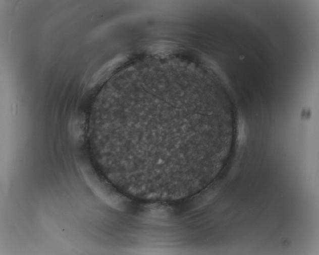 X0000112150073200908281349