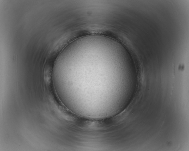 X0000112150074200908281349