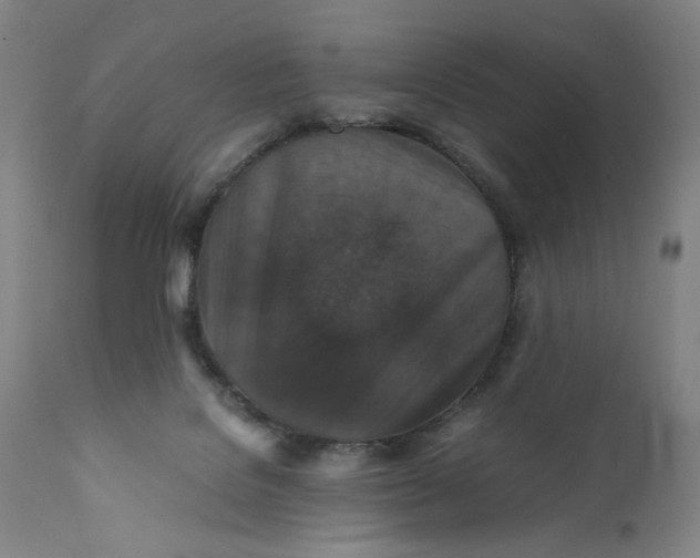 X0000112150076200908281349