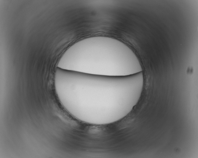 X0000112150077200908281349