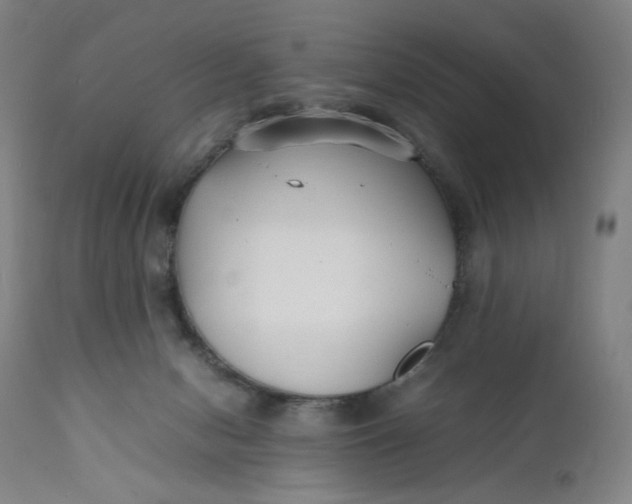 X0000112150078200908281349