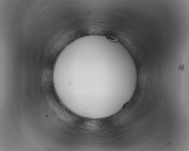 X0000112150079200908281349