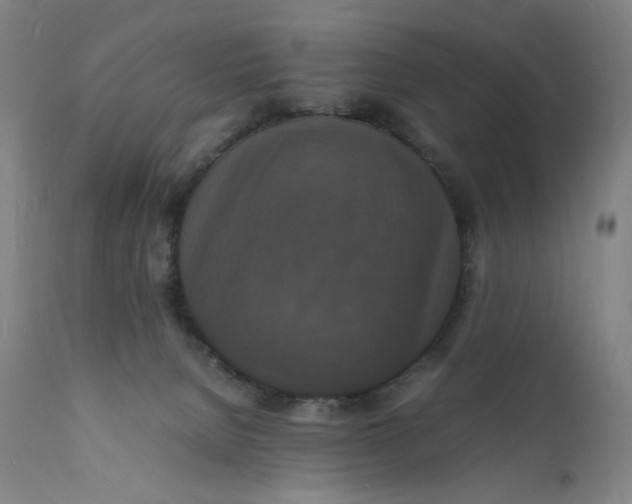 X0000112150080200908281349