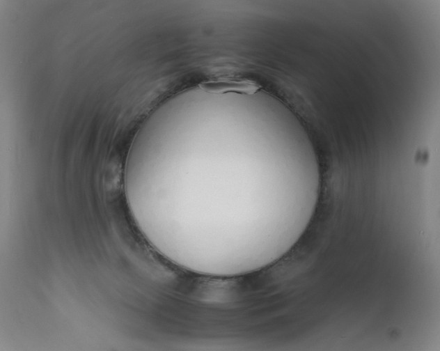 X0000112150081200908281349