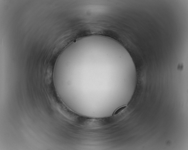 X0000112150082200908281350