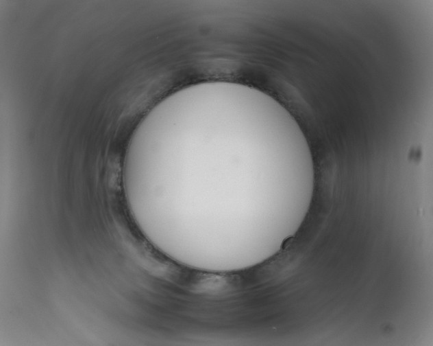 X0000112150083200908281350