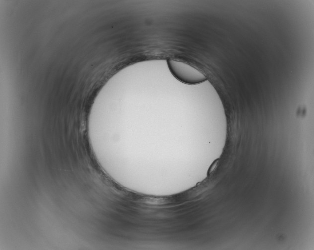 X0000112150085200908281350