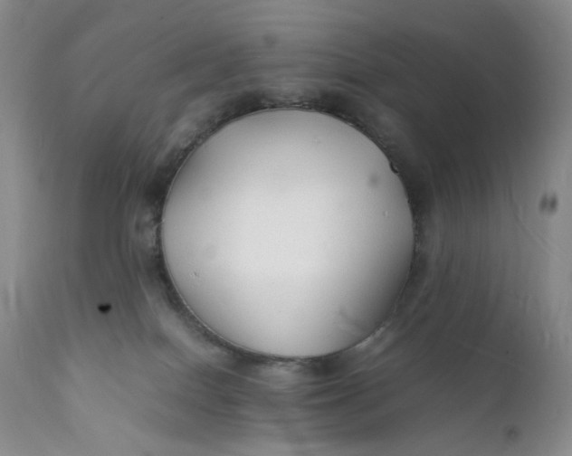 X0000112150086200908281350