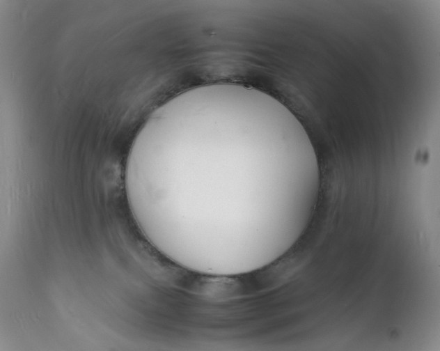 X0000112150087200908281350