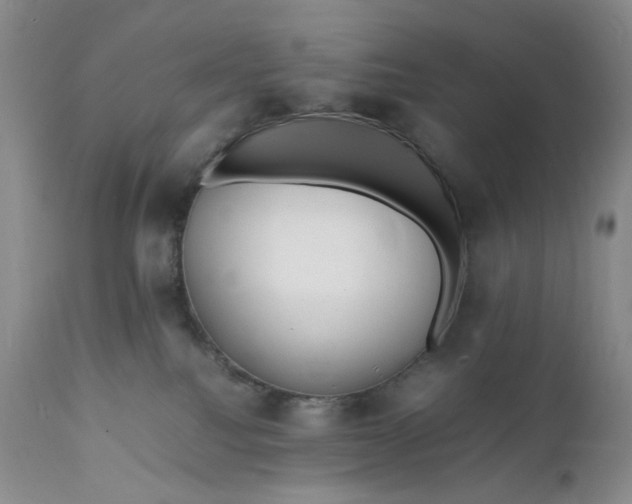 X0000112150088200908281350