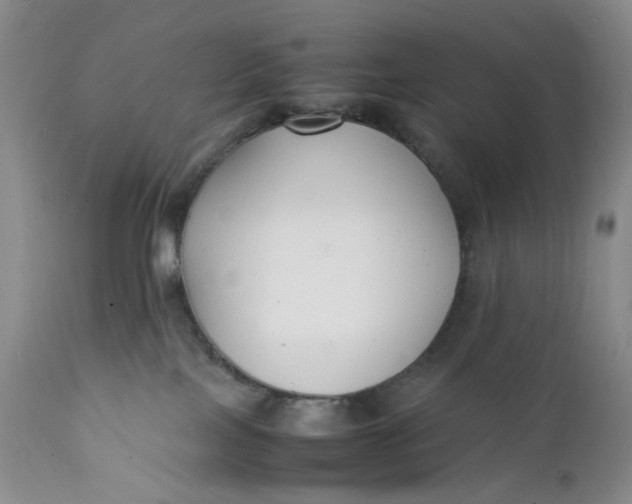 X0000112150089200908281350