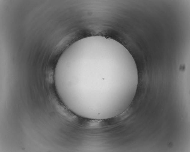 X0000112150090200908281350