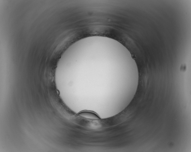 X0000112150091200908281350