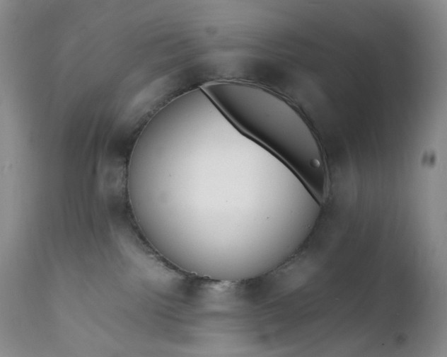 X0000112150092200908281350