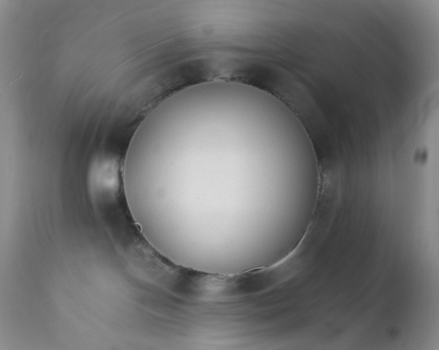 X0000112150094200908281350