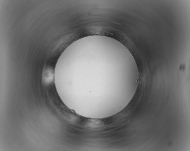 X0000112150095200908281350