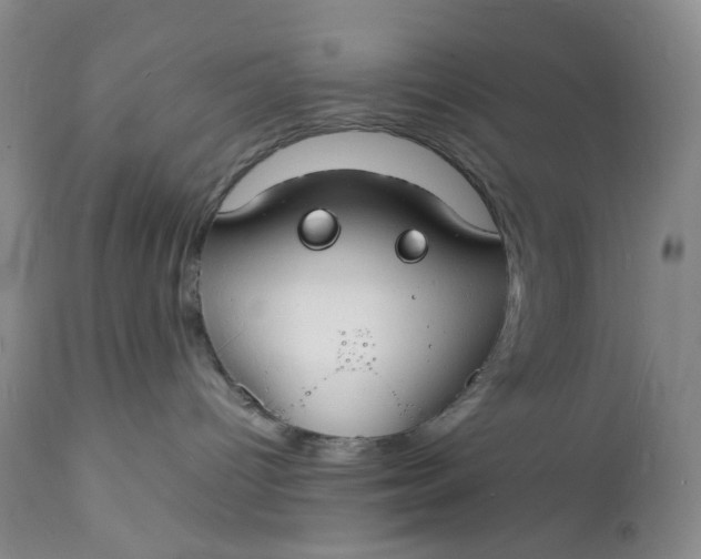 X0000112150096200908281350