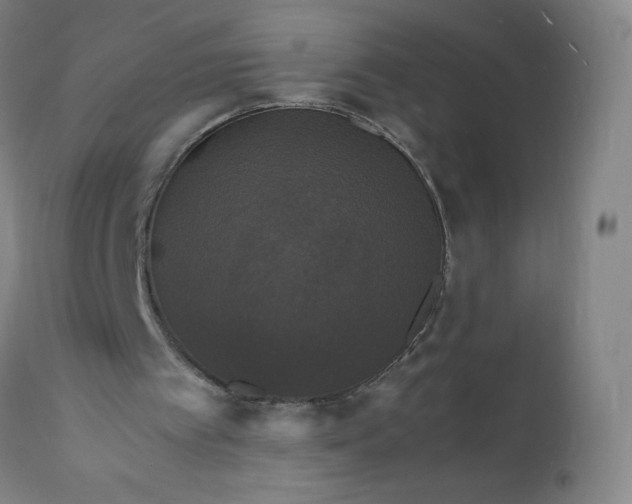 X0000112150097200908281349