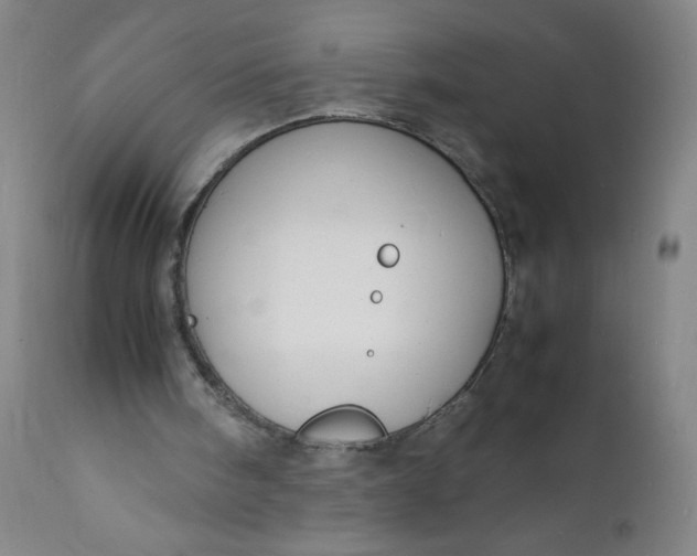 X0000112150098200908281349