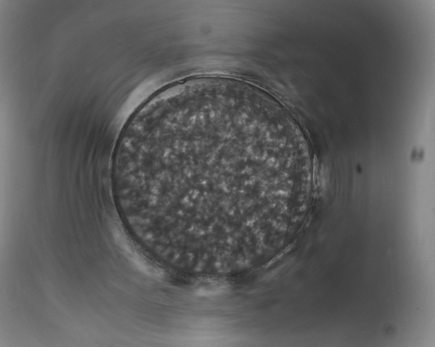 X0000112150099200908281349