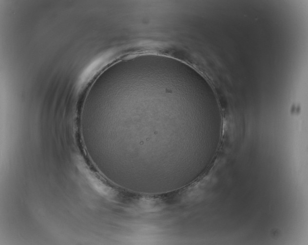 X0000112150101200908281349