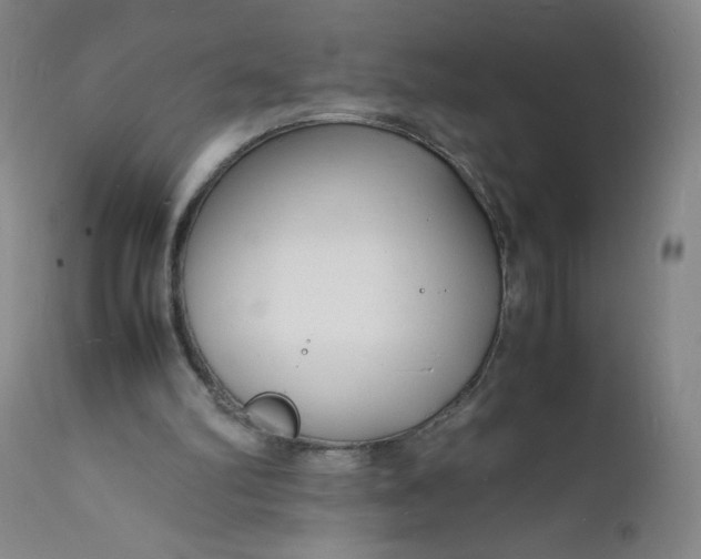 X0000112150102200908281349