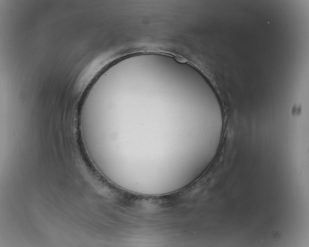 X0000112150103200908281349