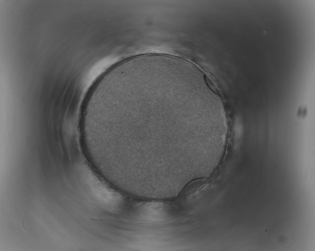 X0000112150104200908281349