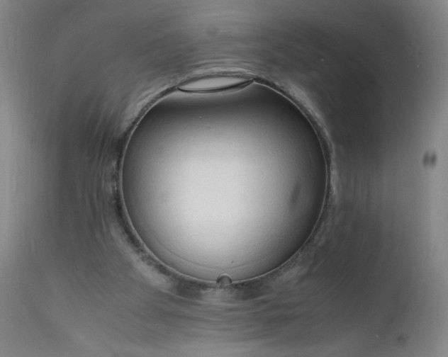 X0000112150105200908281349