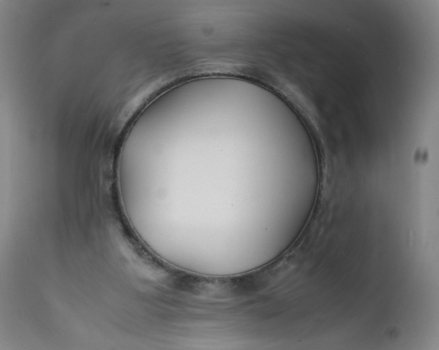 X0000112150107200908281349