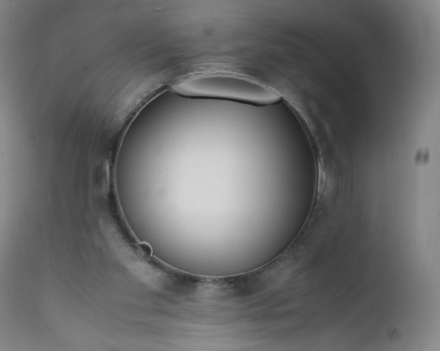 X0000112150109200908281349