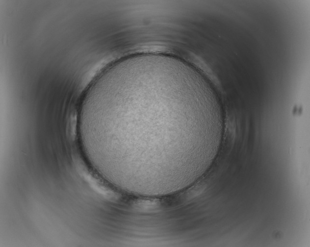 X0000112150110200908281349