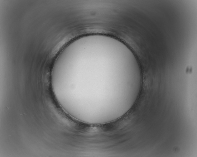 X0000112150111200908281349