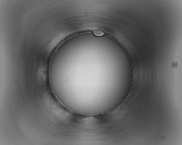 X0000112150112200908281349