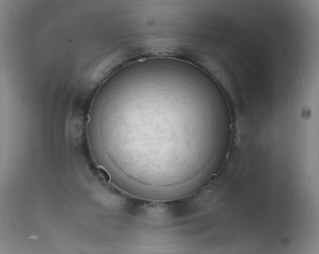 X0000112150113200908281349