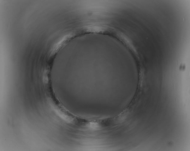 X0000112150114200908281349