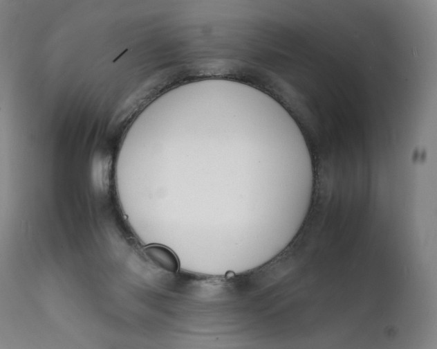 X0000112150118200908281349