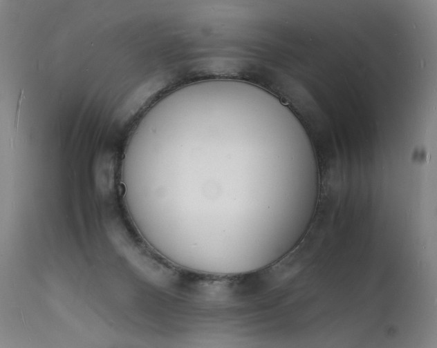 X0000112150120200908281349