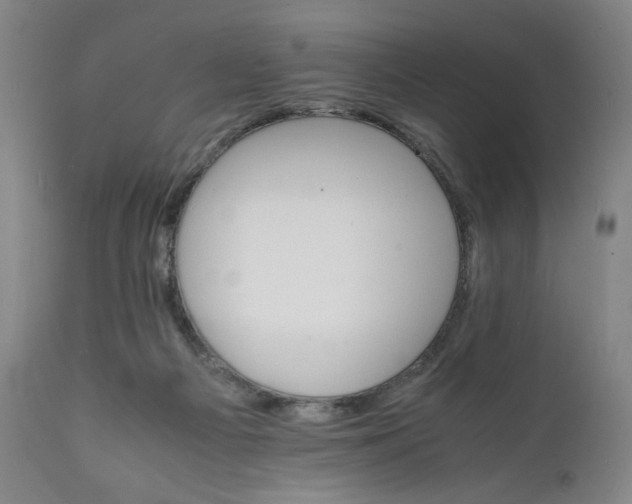 X0000112150121200908281349