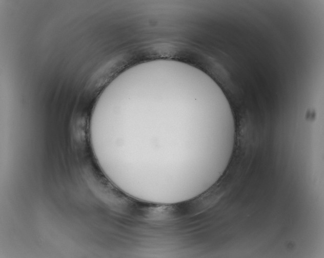 X0000112150122200908281349