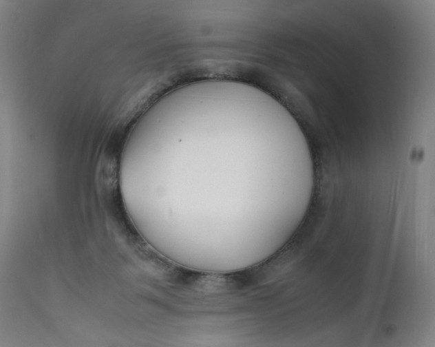 X0000112150123200908281349